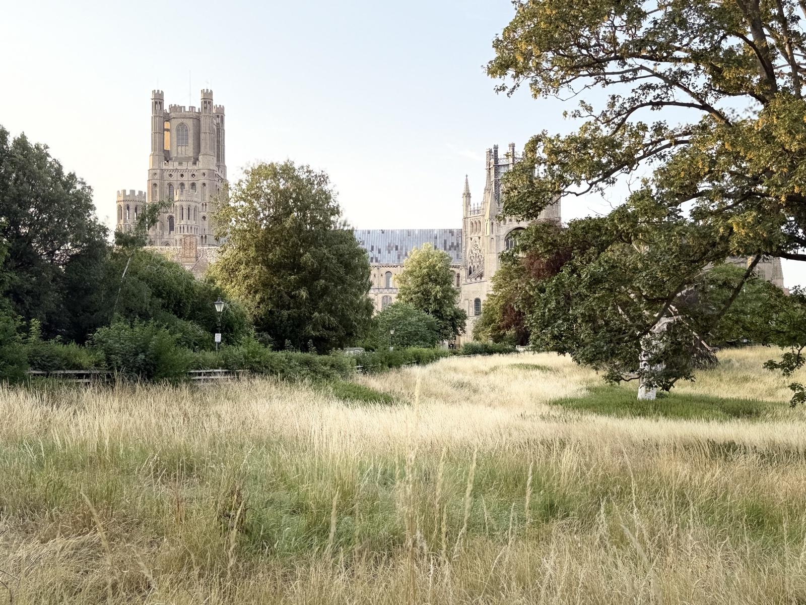 Ely Cathedral is a familiar landmark near the local route.