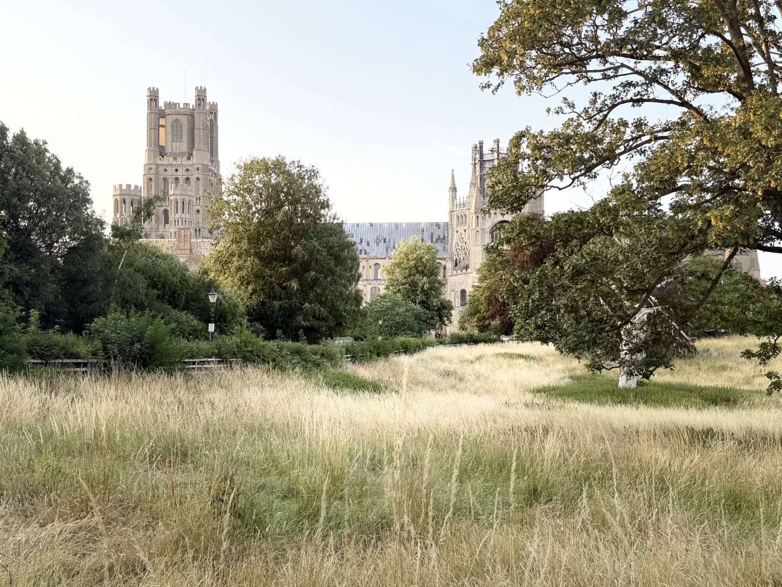 Ely Cathedral is a familiar landmark near the local route.
